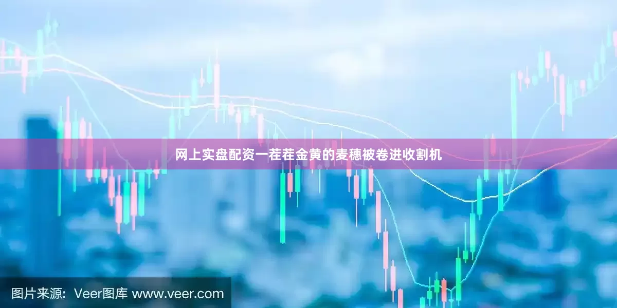 网上实盘配资一茬茬金黄的麦穗被卷进收割机
