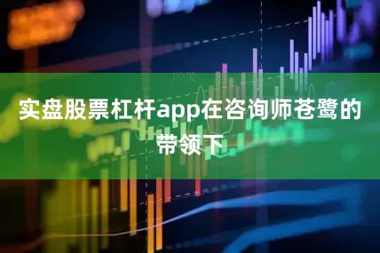实盘股票杠杆app在咨询师苍鹭的带领下