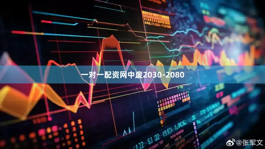 一对一配资网中废2030-2080