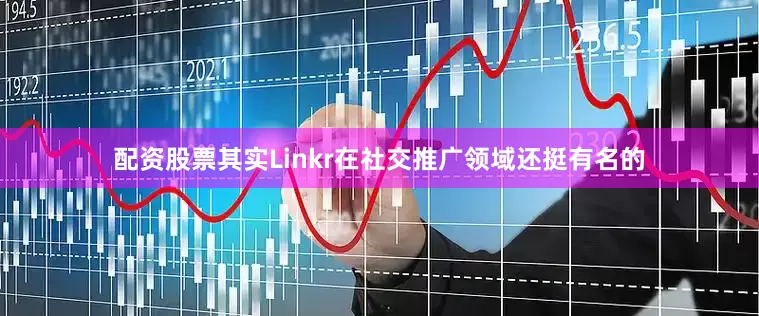 配资股票其实Linkr在社交推广领域还挺有名的