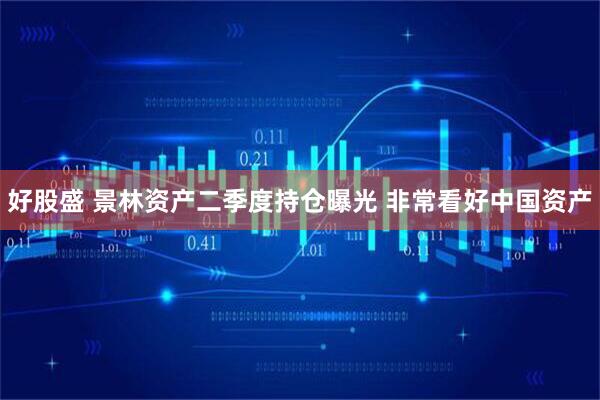 好股盛 景林资产二季度持仓曝光 非常看好中国资产
