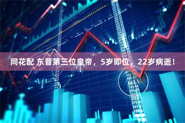 同花配 东晋第三位皇帝，5岁即位，22岁病逝！
